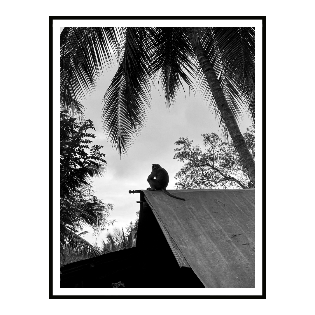 Rooftop Watcher