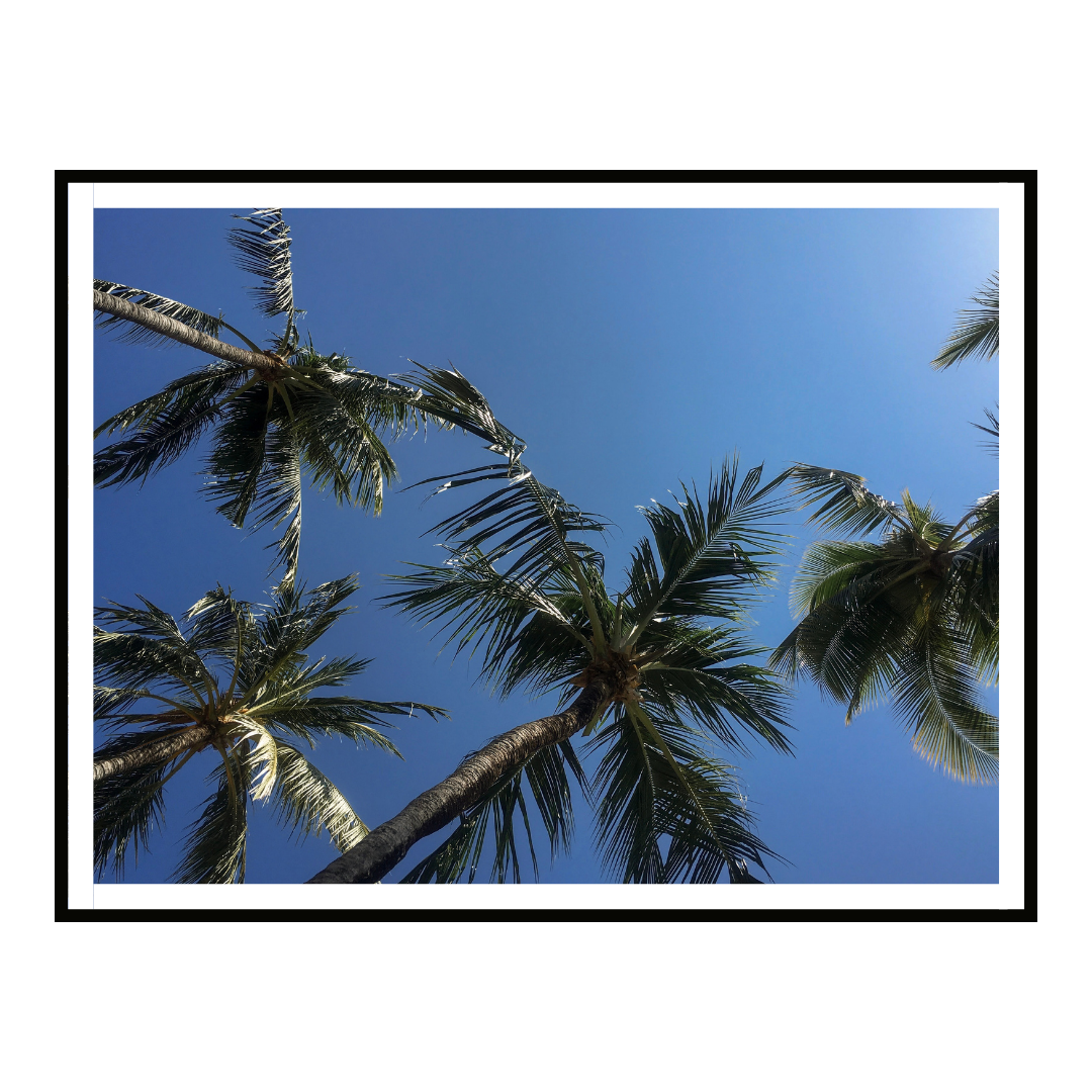 Tropical Silence II