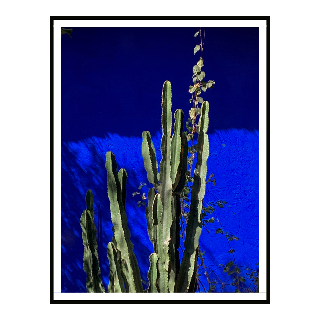 Arid Form