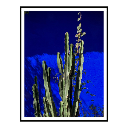 Arid Form