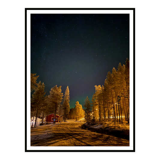 Artic Light II