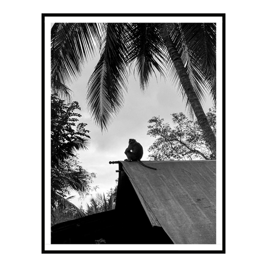 Rooftop Watcher
