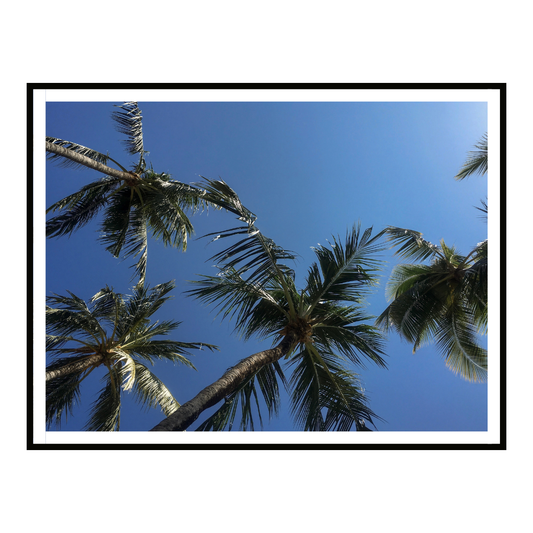 Tropical Silence II