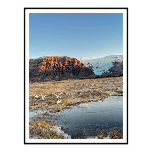 Wild Iceland II